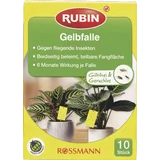 RUBIN Gelbfalle