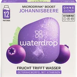 Microdrink Boost Johannisbeere (12 Portionen)