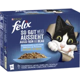 So gut wie es aussieht Geschmacksvielfalt aus dem Wasser in Gelee Multipack