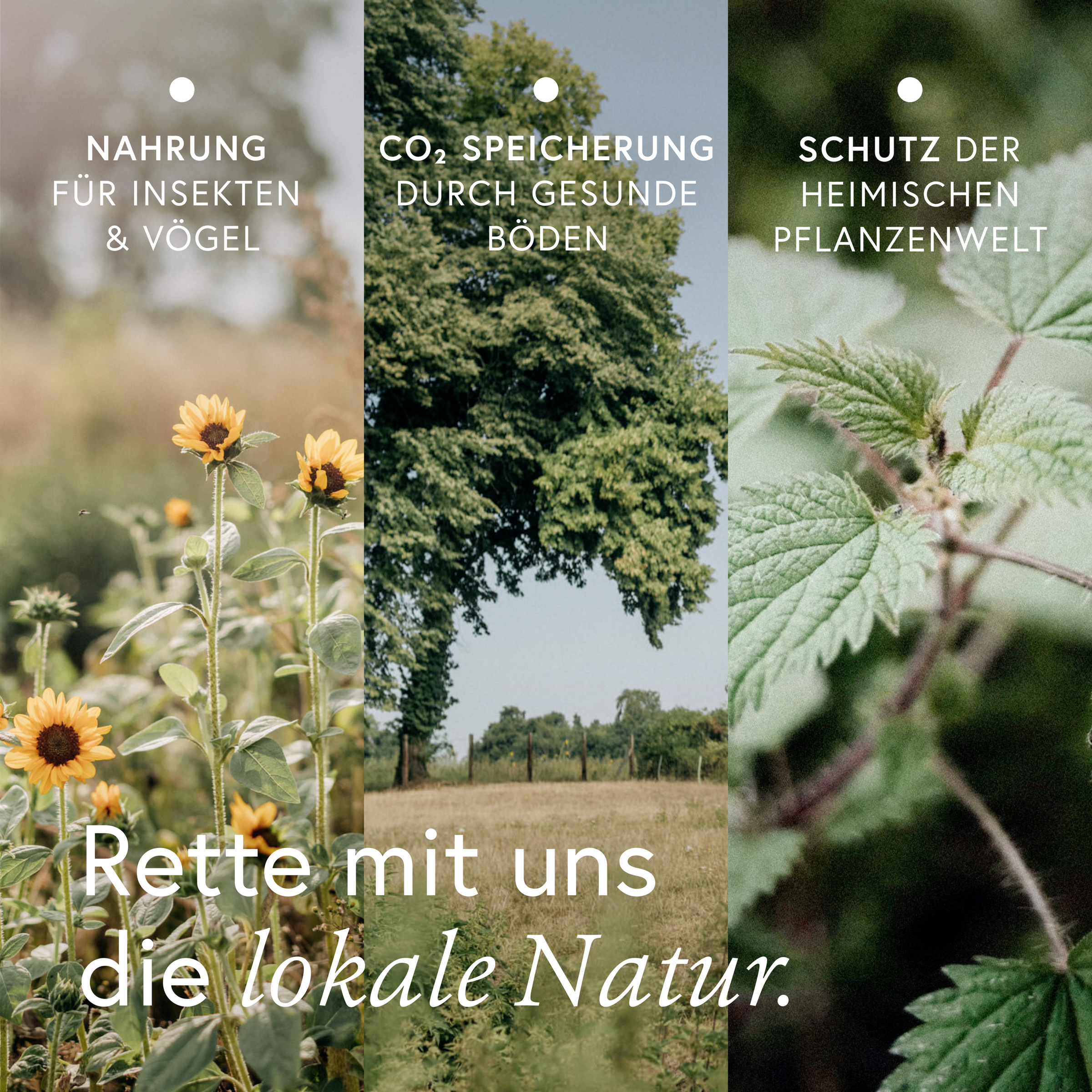 مشروب طاقة بيو 5