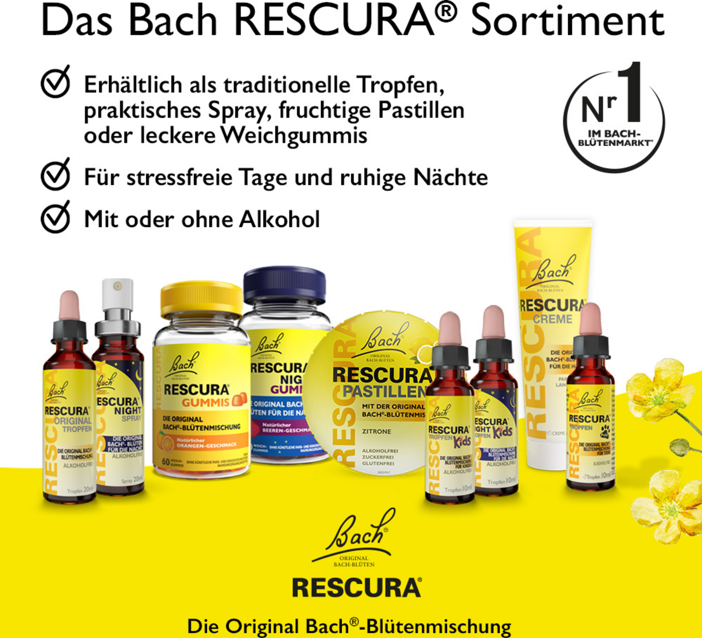 قطرات Bachblüten NIGHT Kids 6