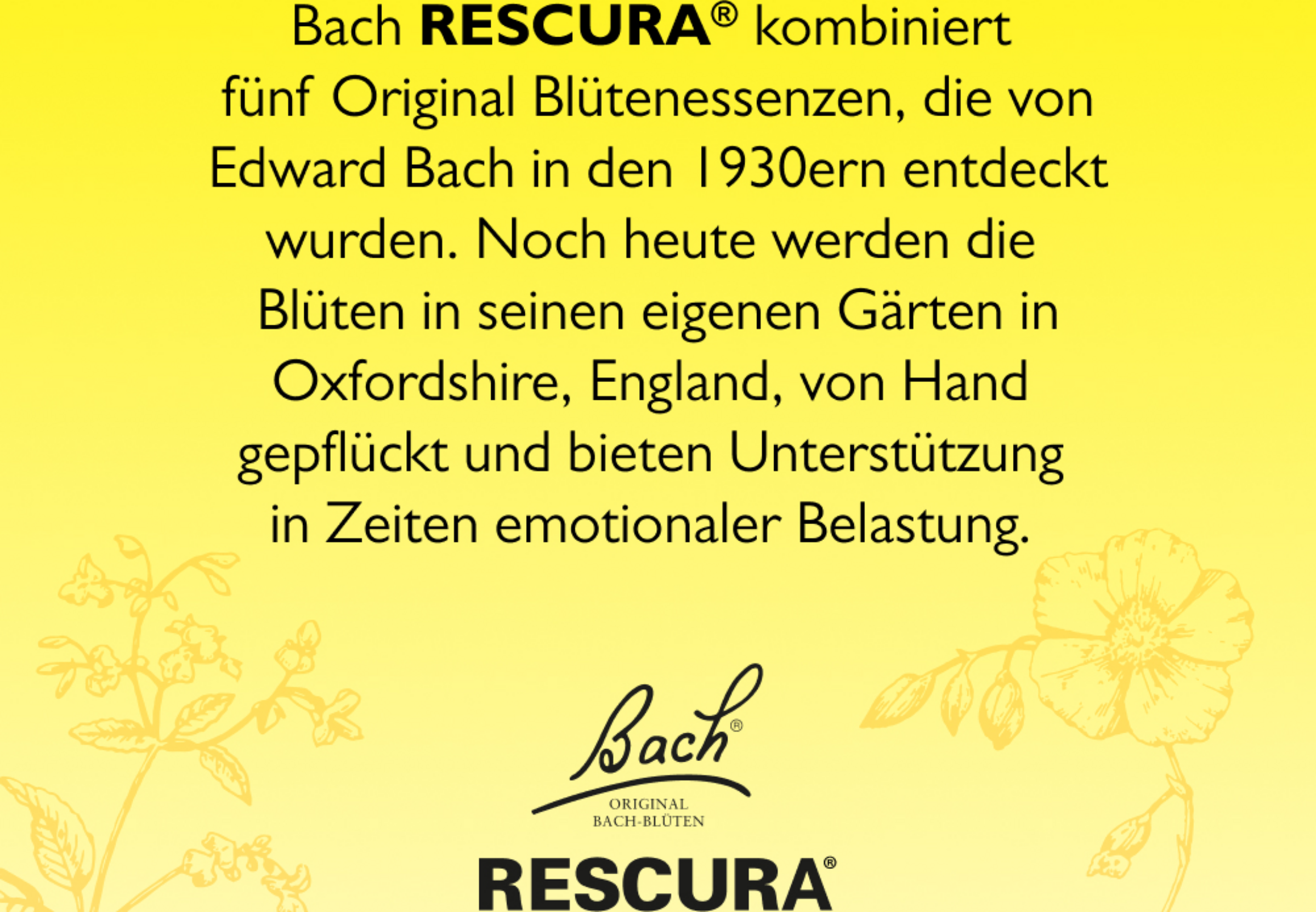 قطرات زهرة بخور مريم بالبرتقال والمانجو خالية من الكحول 7