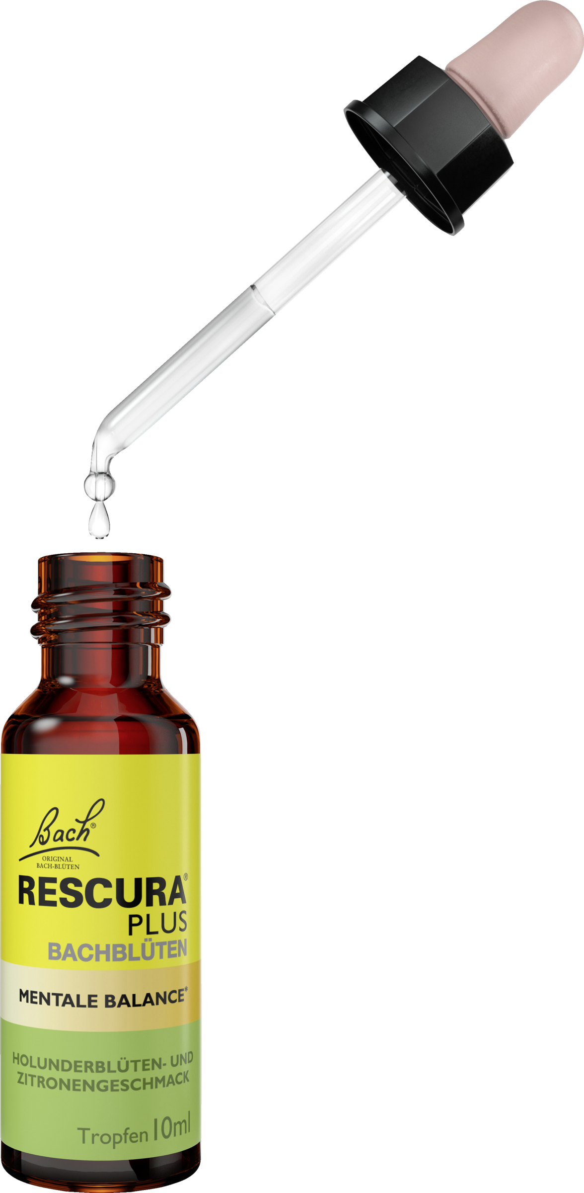 PLUS مستخلصات زهرة باخ للتوازن العقلي 9