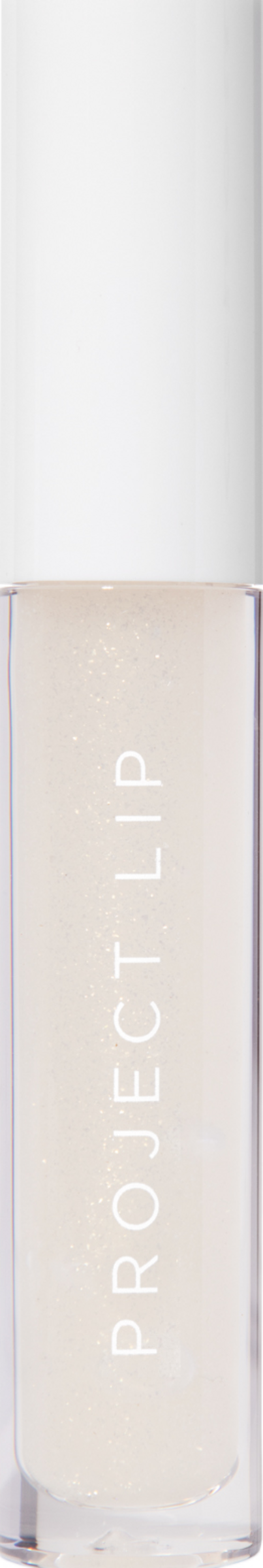 Project Lip Plump and Gloss