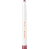 Plump & Fill Lip Liner Chase