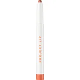 Plump & Fill Lip Liner Tease