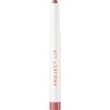 Plump & Fill Lip Liner Play