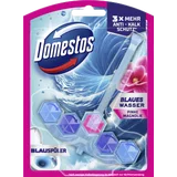 Power 5+ WC Stein Aktiv Blauspüler Pinke Magnolie