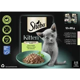 Kitten Feine Vielfalt in Sauce Feine Vielfalt mit Lachs mit Huhn