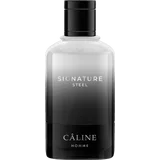 Homme Signature Steel, EdT 60 ml