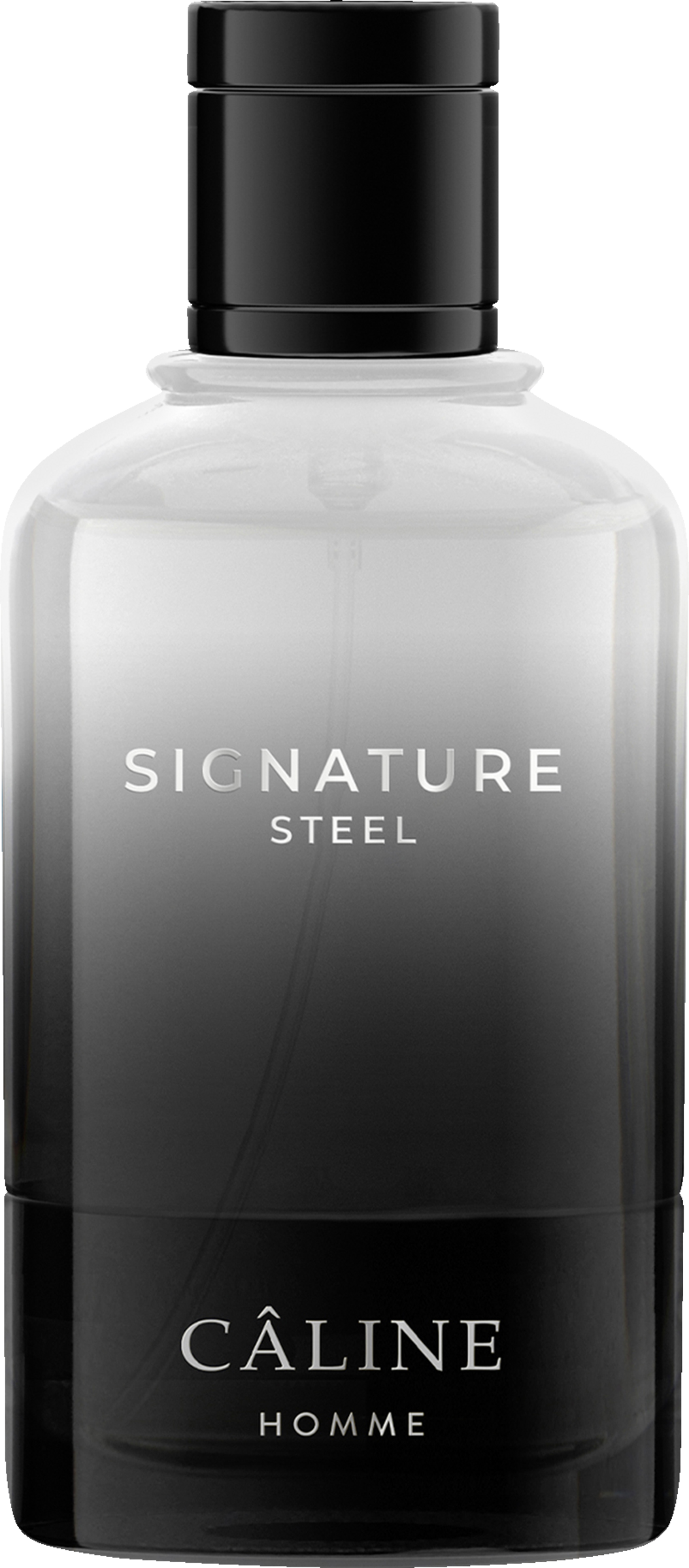 Câline Homme Signature Steel, EdT 60 ml