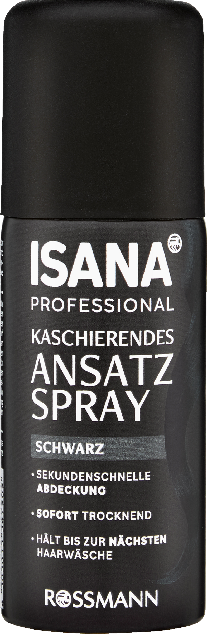 ISANA PROFESSIONAL kaschierendes Ansatzspray Schwarz