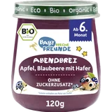 Bio Baby Abendbrei Apfel, Blaubeere mit Hafer