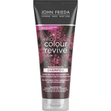 PRO Colour Revive Farbschutz Shampoo