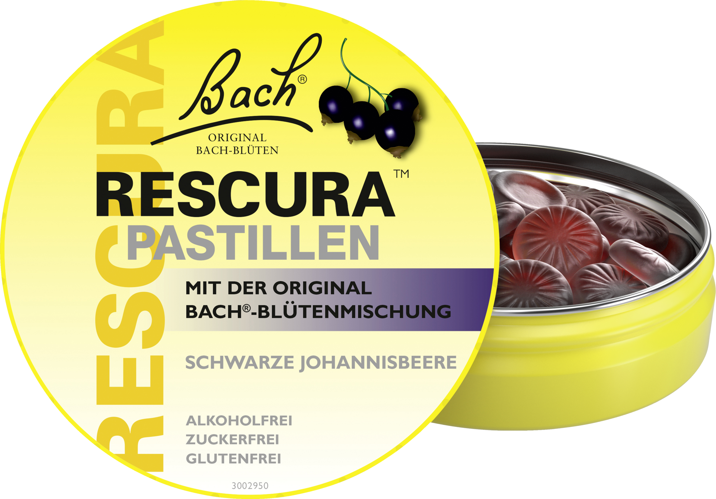 أقراص الكشمش الأسود 3