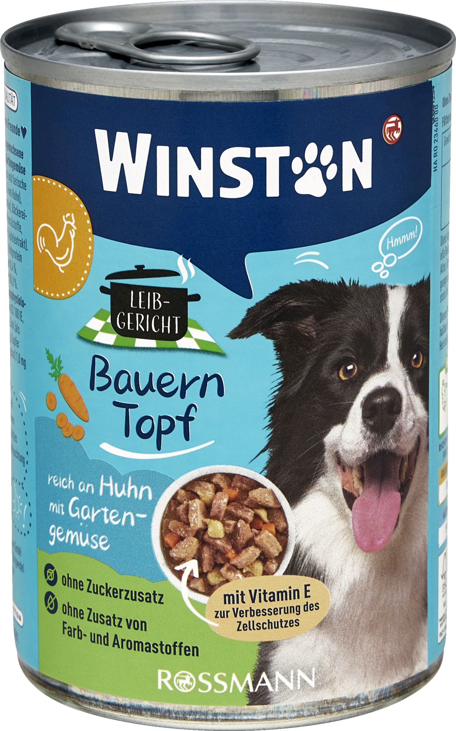 Bauerntopf reich an Huhn mit Gartengemüse