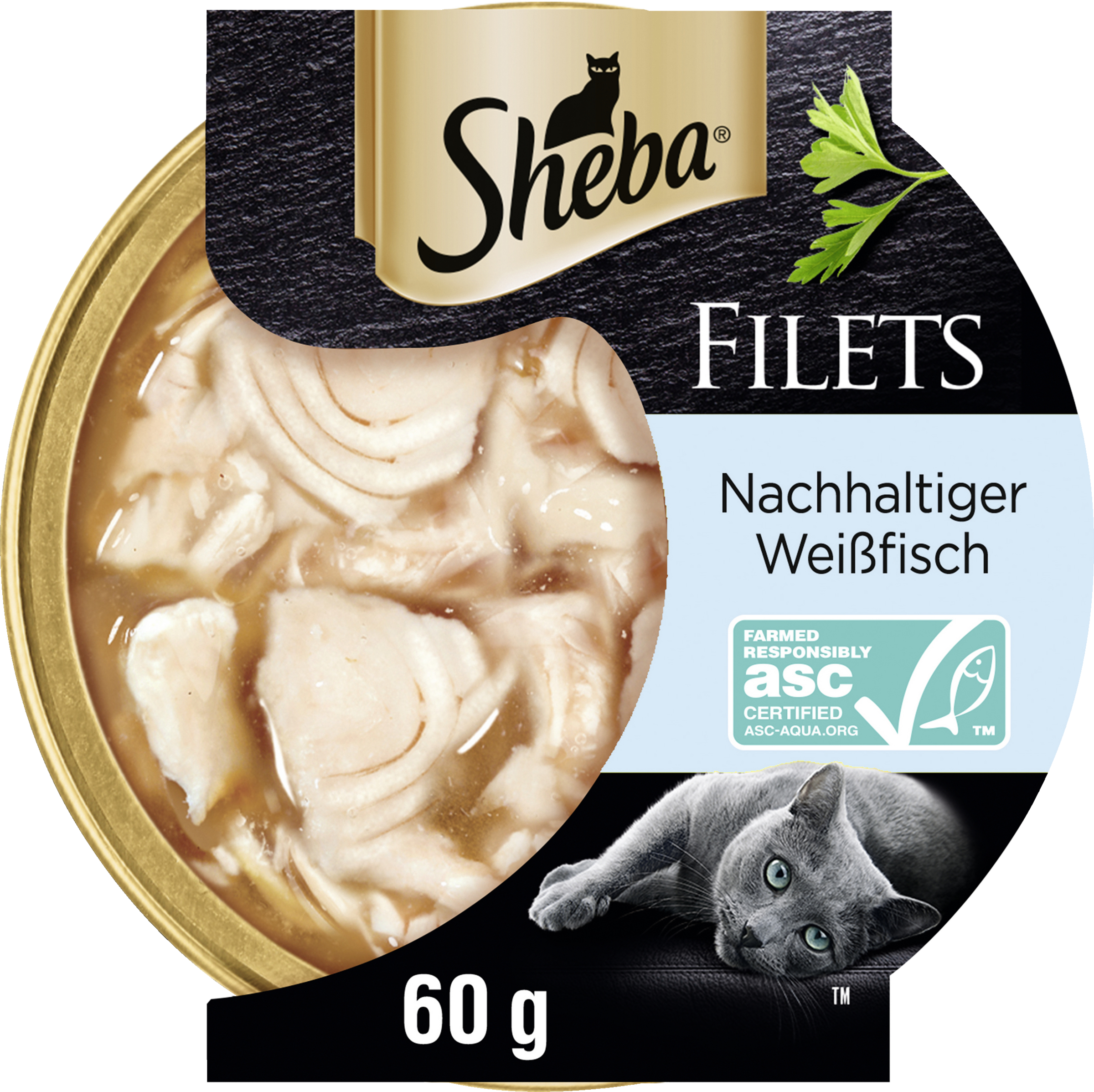 Filets Nachhaltiger Weißfisch