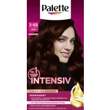 Intensiv Creme Coloration 3-68878 Mahagoni