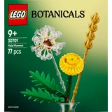 LEGO Botanical Collection 30701 Feldblumen
