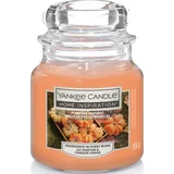 Yankee Candle Kleines Duftglas Pumpkin Harvest