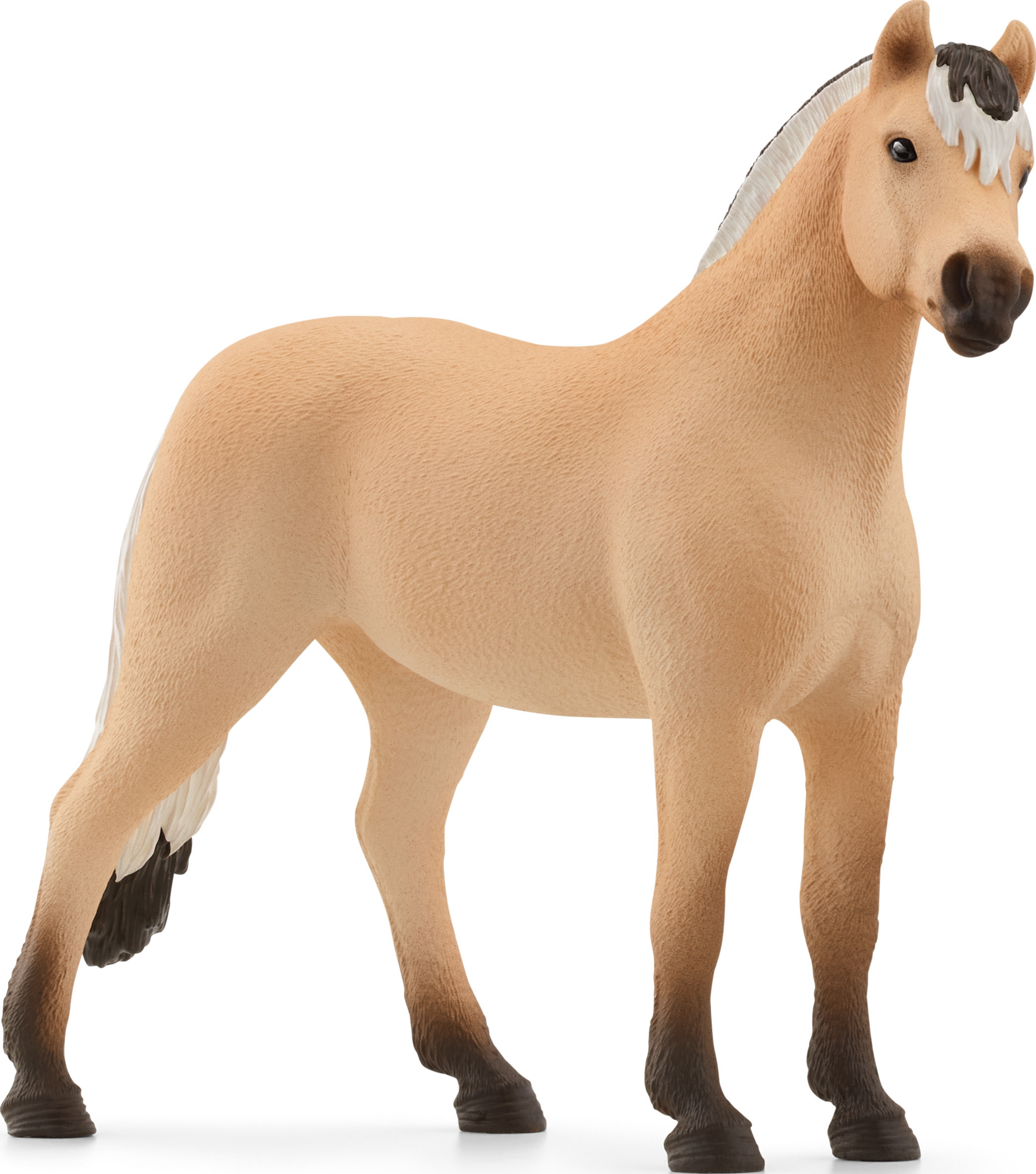 13979 Fjord Pferd Wallach