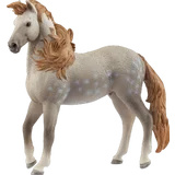 14895 Andalusier Hengst