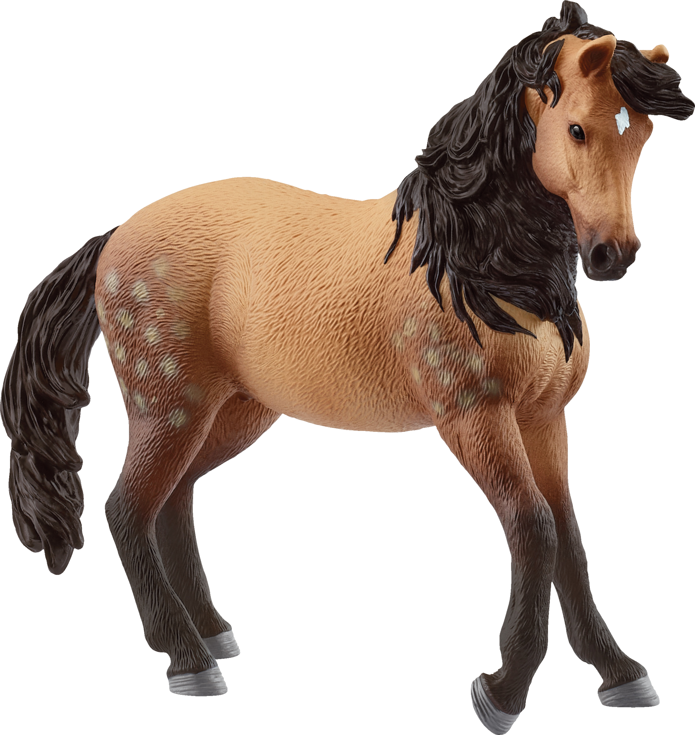 14894 Andalusier Stute