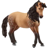 14894 Andalusier Stute