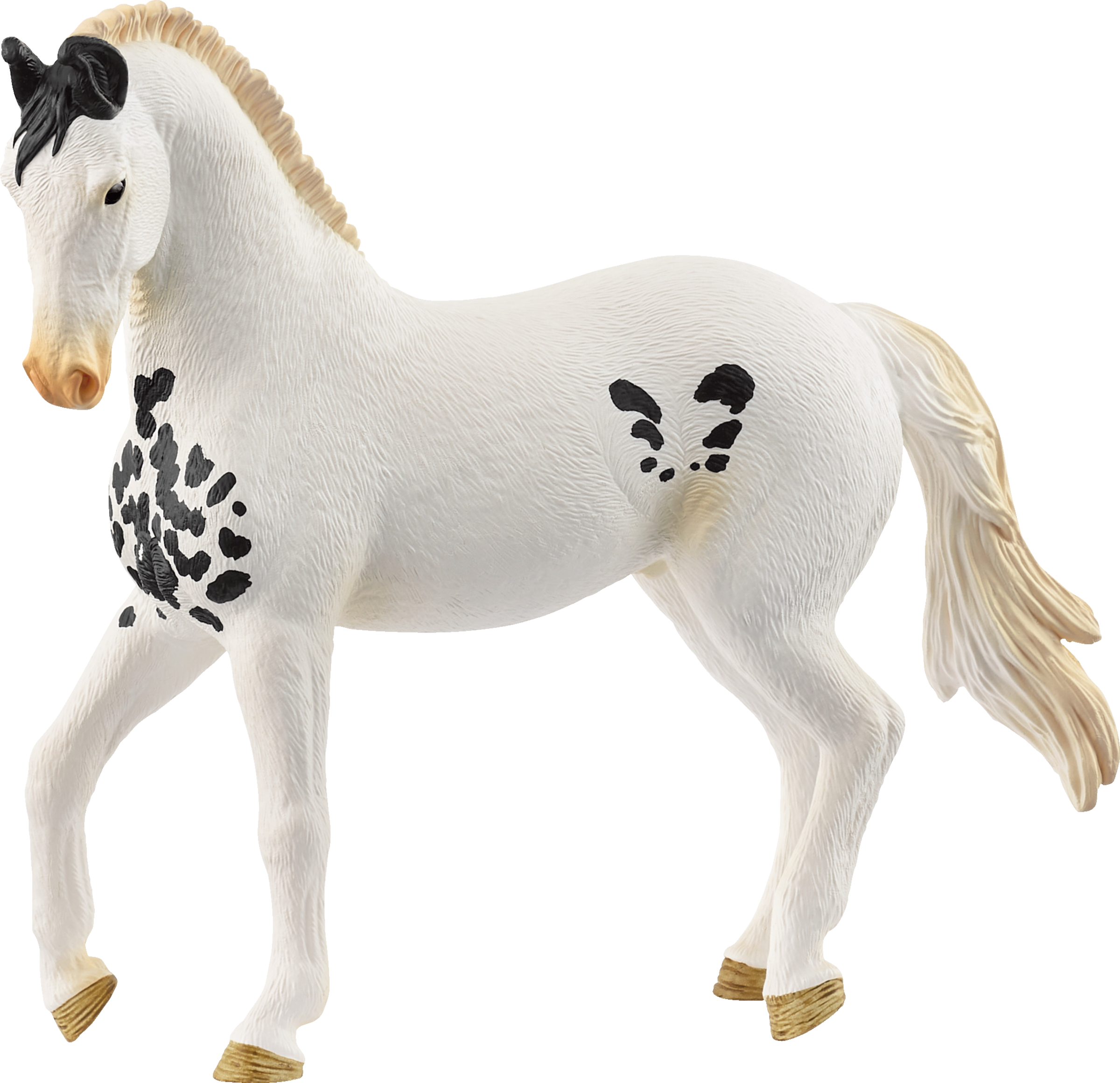 14898 Marwari Hengst