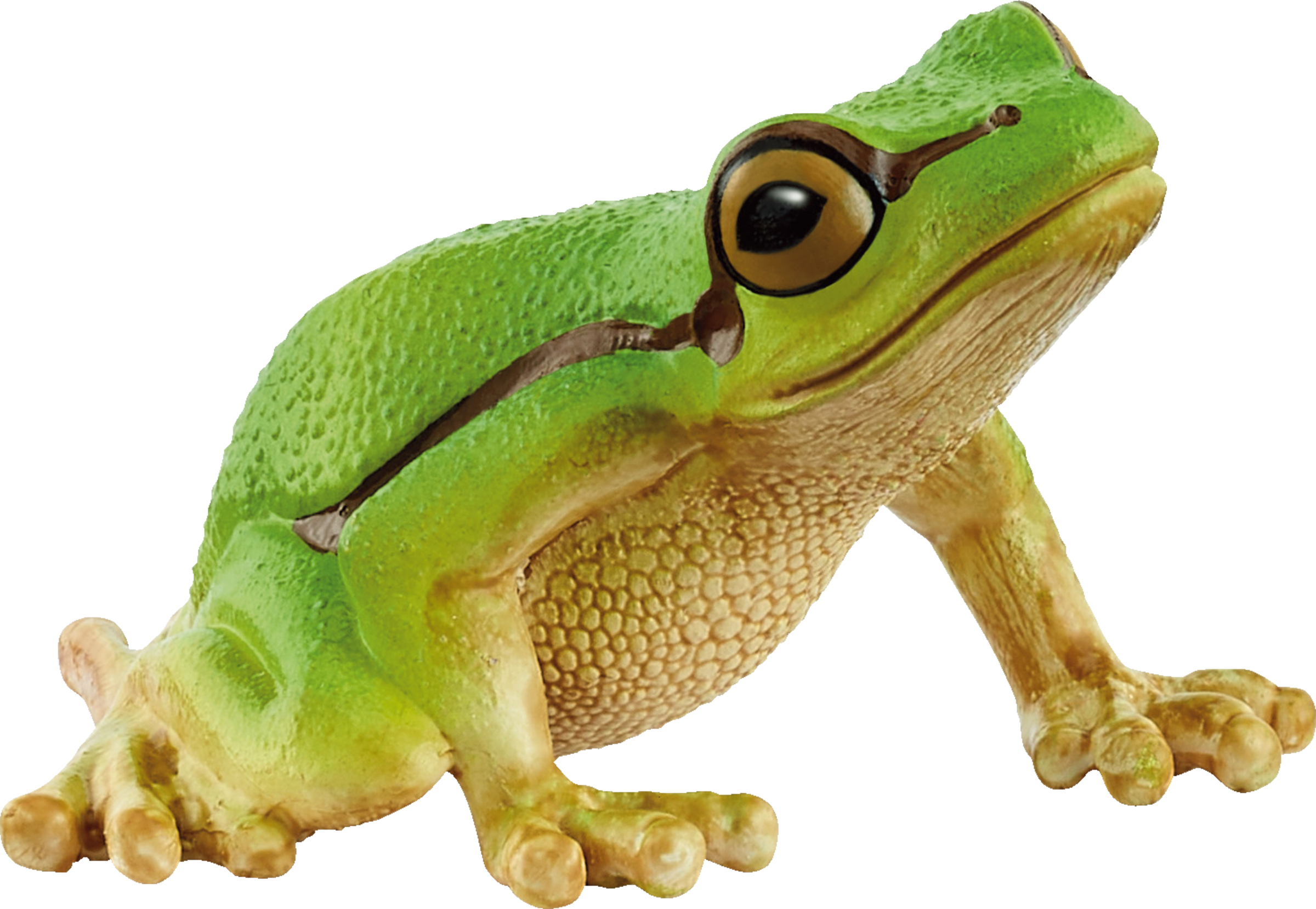 Schleich 14882 Europäischer Laubfrosch