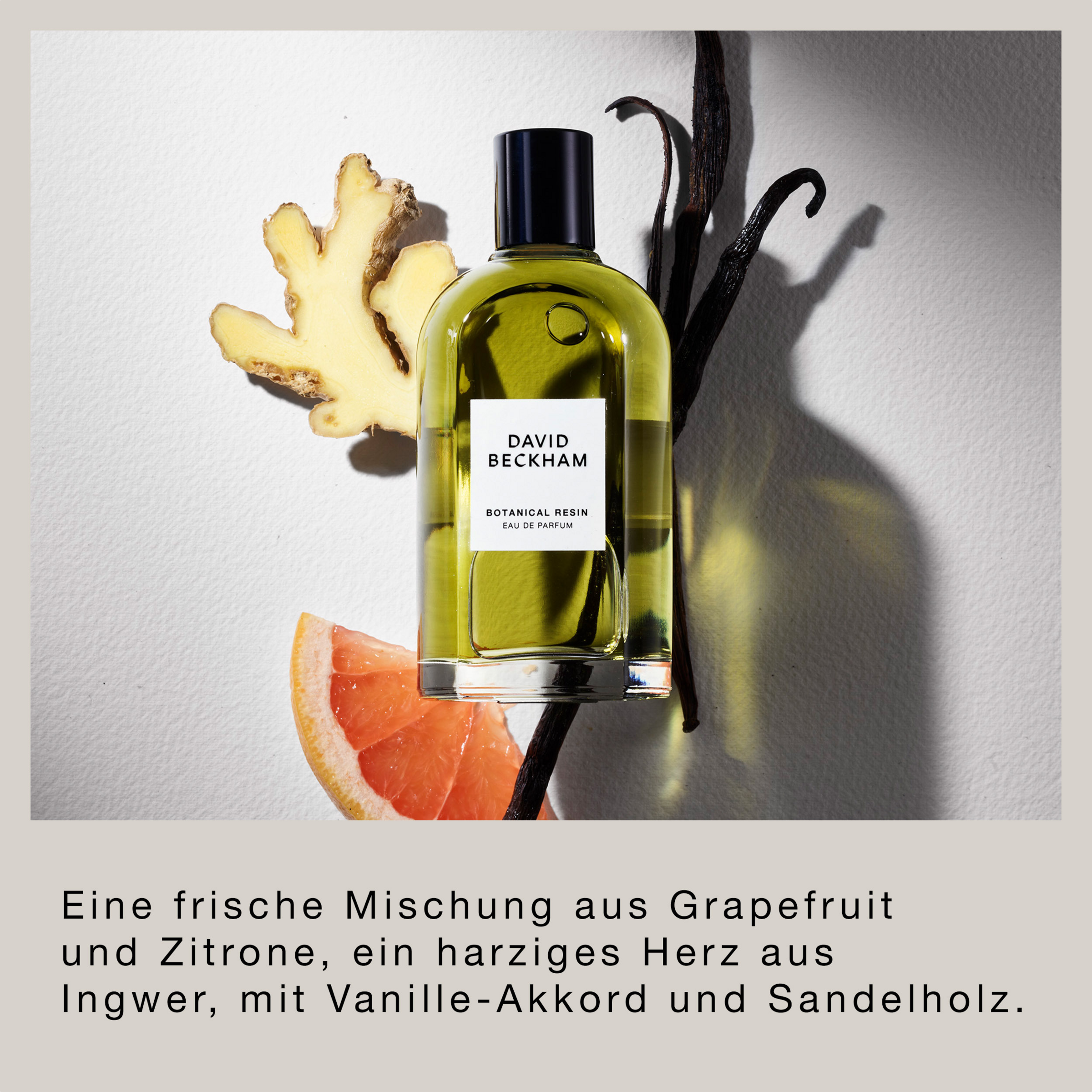 David Beckham Botanical Resin, EdP 50 ml online kaufen | rossmann.de