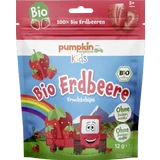 Bio Erdbeere Fruchtchips