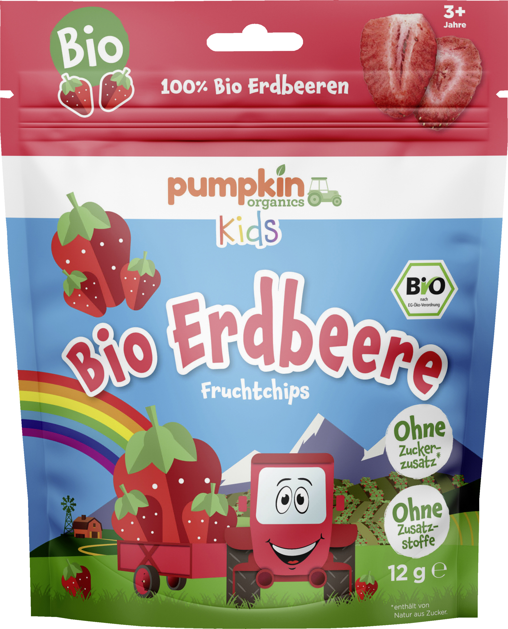Pumpkin Organics Bio Erdbeere Fruchtchips