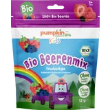 Bio Beerenmix Fruchtchips