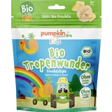 Bio Tropenwunder Fruchtchips