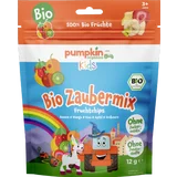Bio Zaubermix Fruchtchips