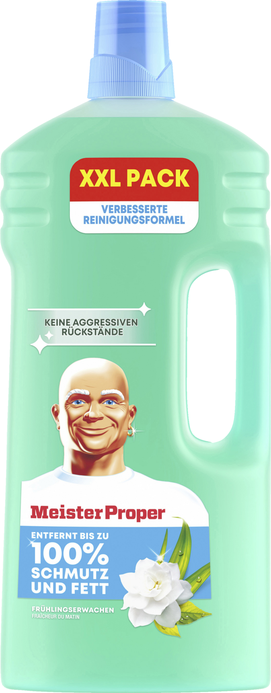 Meister Proper Allzweckreiniger Frühlingserwachen