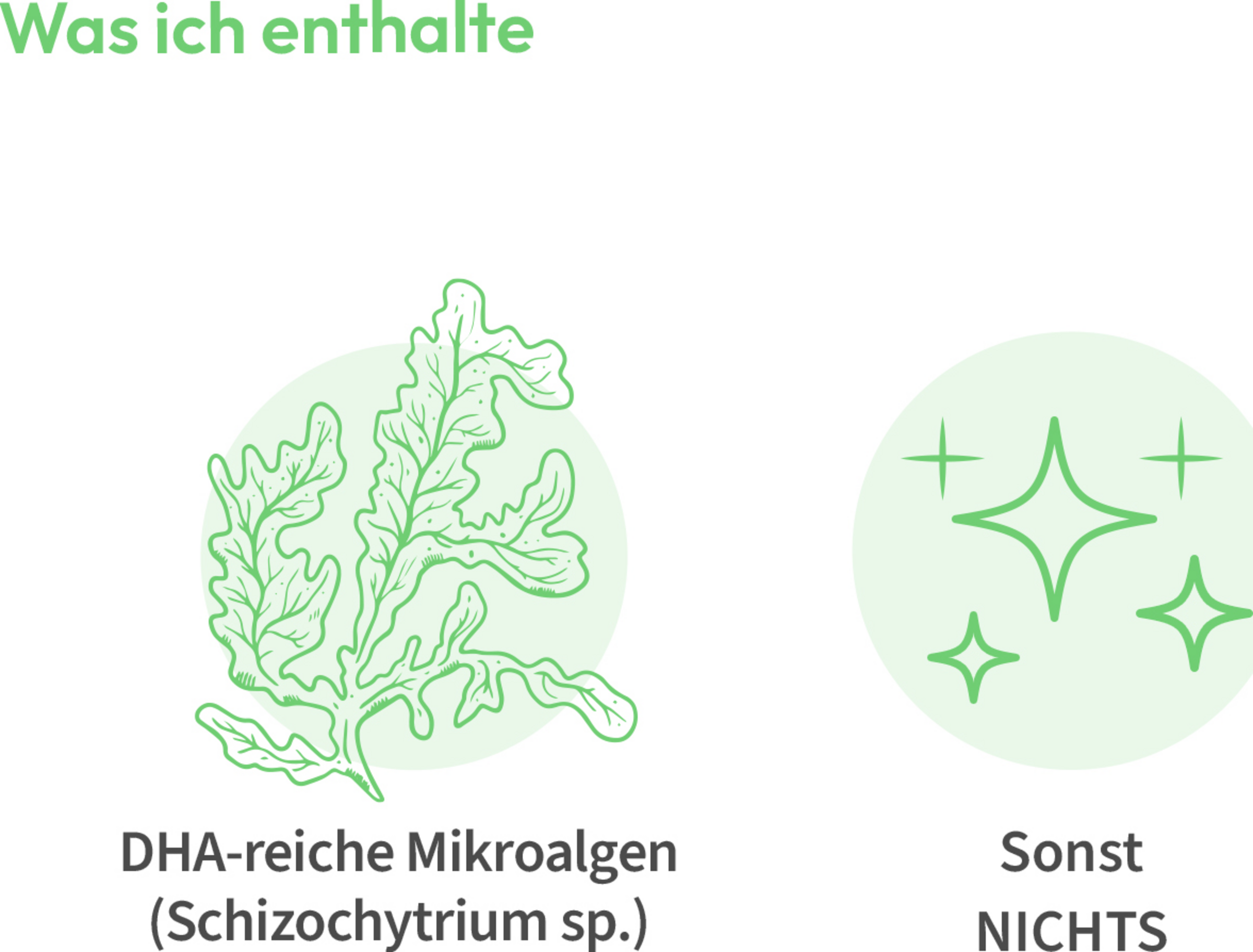 WHITE OMEGA Kids كبسولات صغيرة من الطحالب 7