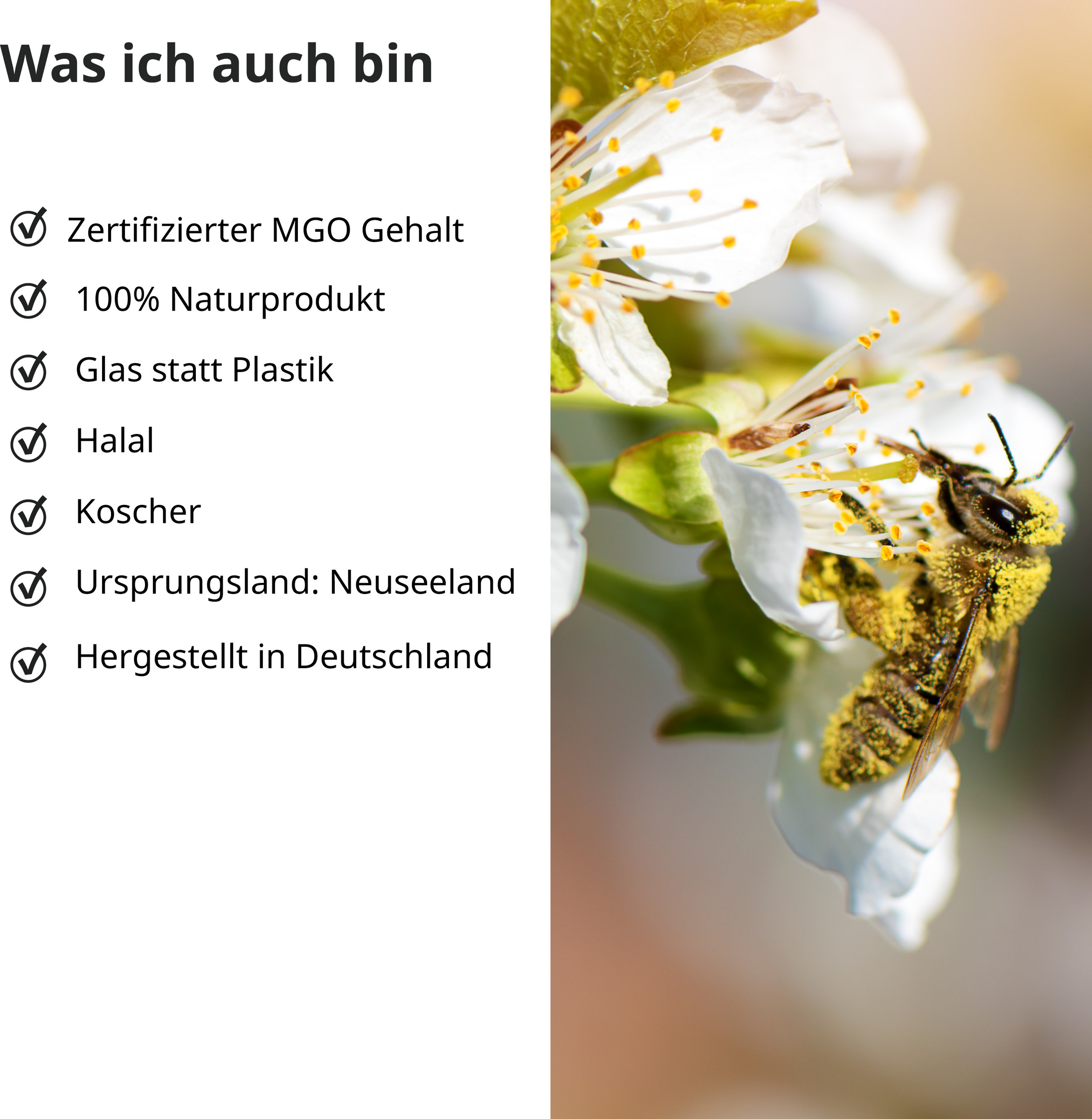 عسل المانوكا MGO 400+ 6