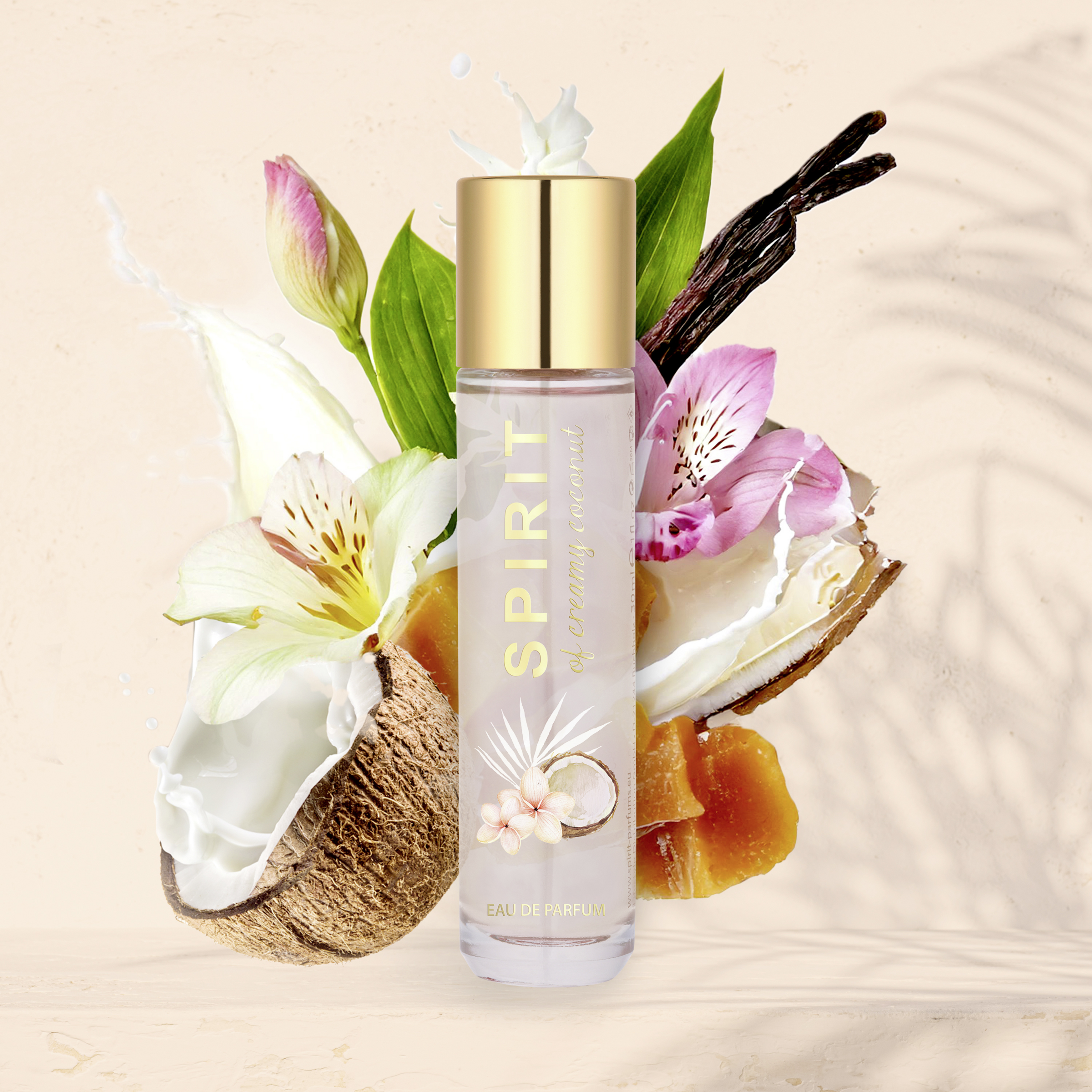 La Rive Chanel No Preis Rossmann Rossmann Drogerie Rossmann Parfum