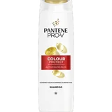 Haarshampoo Color Protect