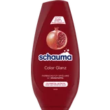 Spülung Color Glanz