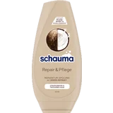 Spülung Repair & Pflege