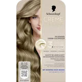 Pflegende Coloration 8-16 Kühles Aschblond