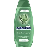 Shampoo Fresh Volume