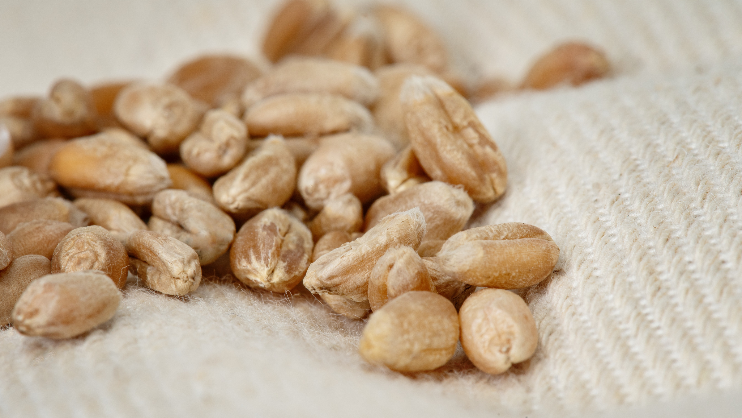 وسادة حبوب القمح 3