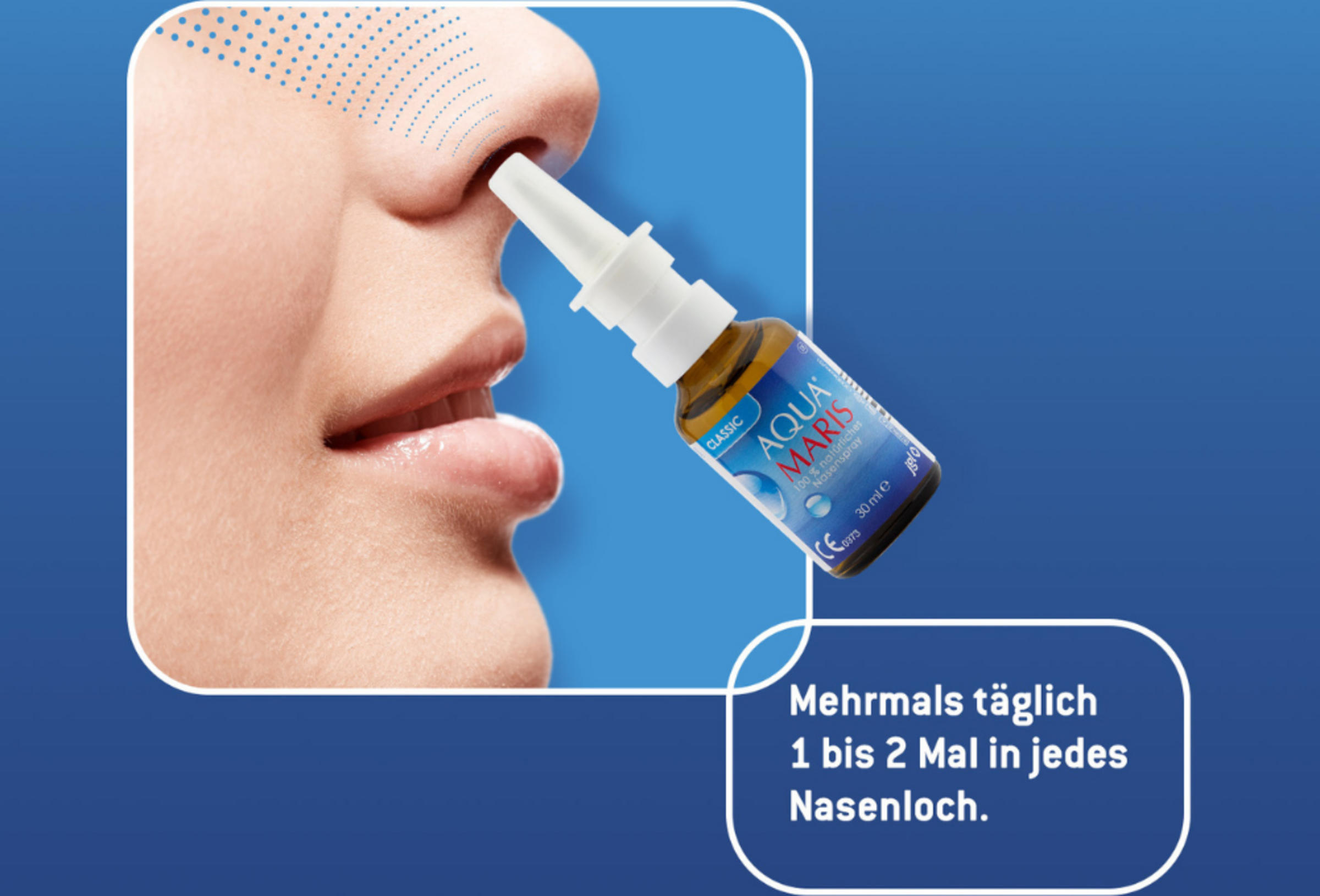 بخاخ الأنف الكلاسيكي 6