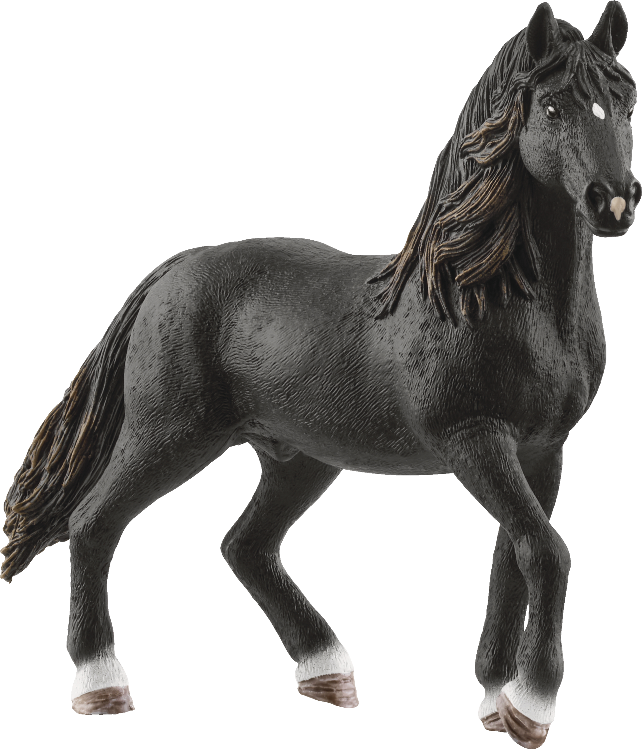 72212 Andalusier Hengst