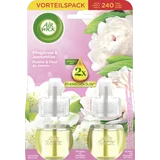 Duftstecker Nachfüller Duo Pfingstrose Jasminblüte
