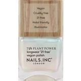 Nagellack Plant Glowing Somewhere